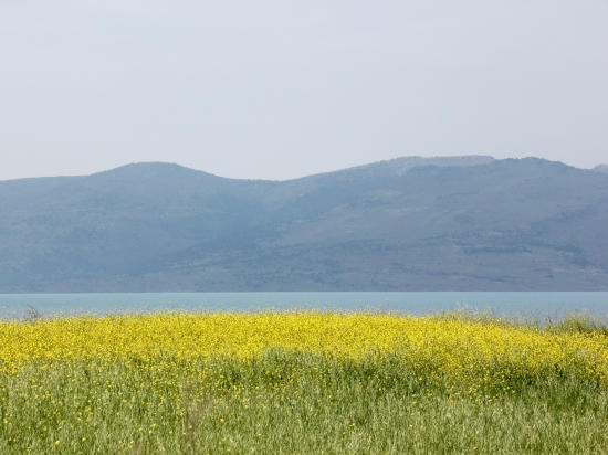 Baai van Kallonï¿½ Lesbos